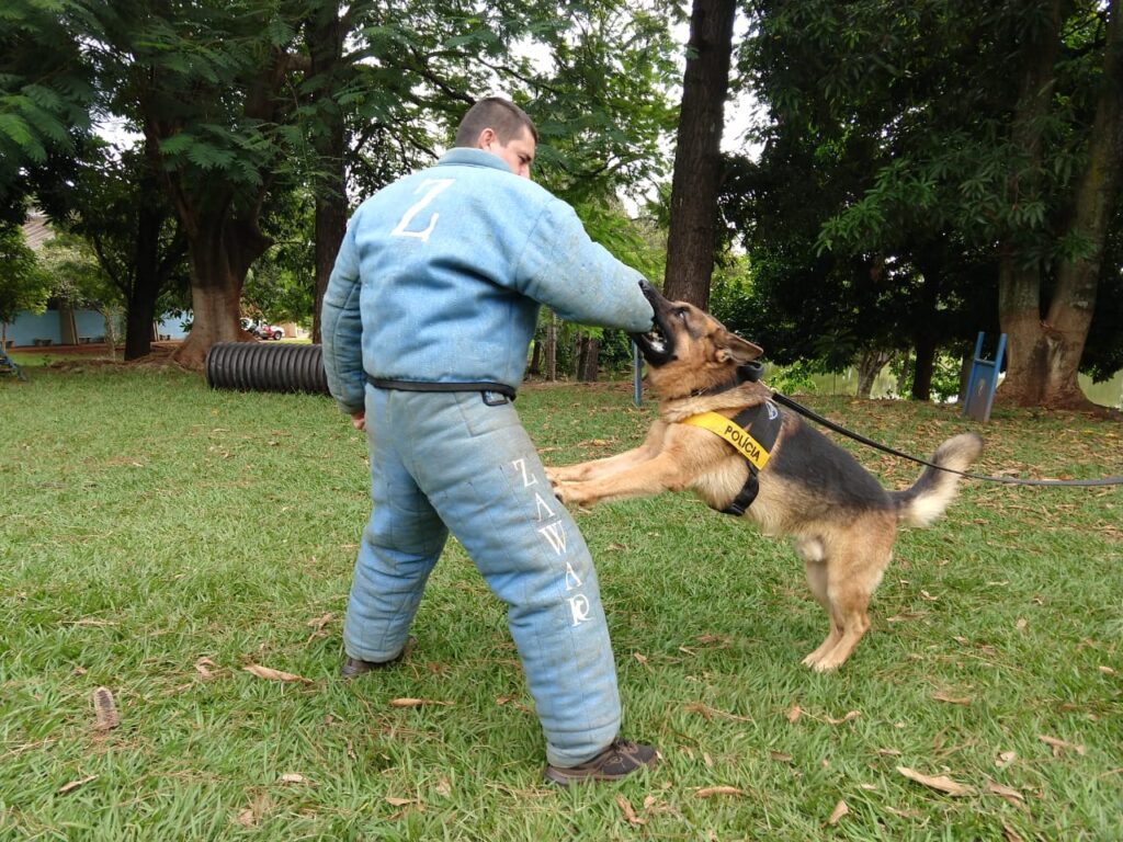 Policiais bons pra cachorro