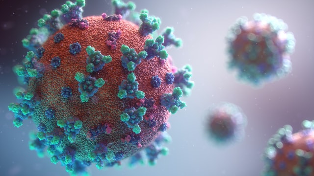 Variantes do coronavírus poderiam reinfectar pessoas que tiveram Covid-19