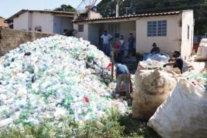 Zoonoses de Limeira retira mais de 342 quilos de embalagens pet em imóvel no Santa Josefa