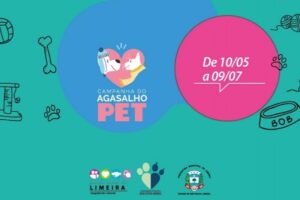 Campanha do Agasalho Pet terá drive-thru na Giralda Doceira neste fim de semana em Limeira