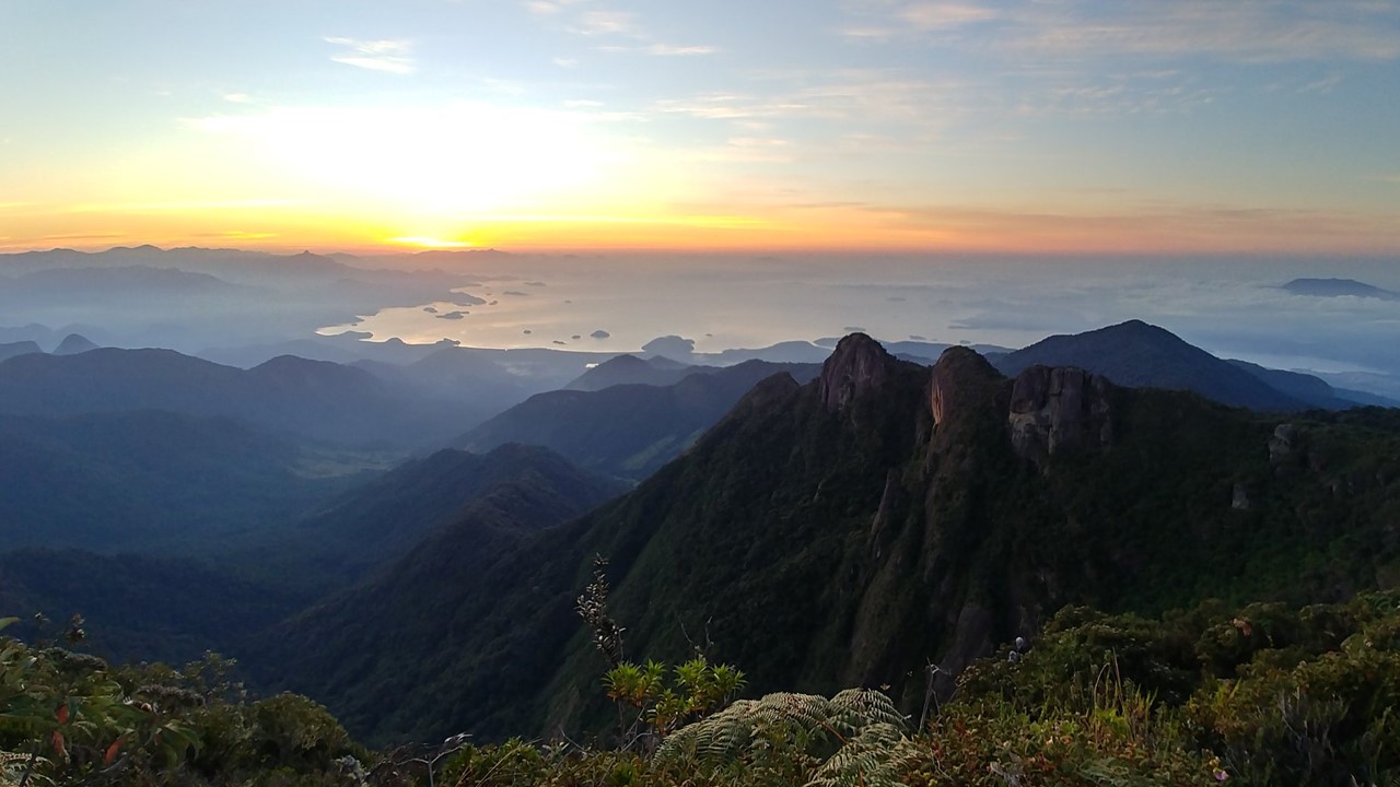 Dia do Meio Ambiente é comemorado com campanha de conscientização pela Comgás