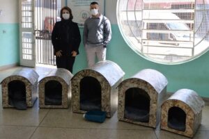 Roberta Botion articula casinhas para pets para Centro de Acolhida de Limeira