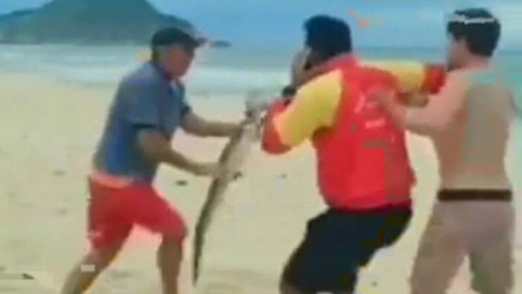 Jacaré é motivo de briga em praia no Rio