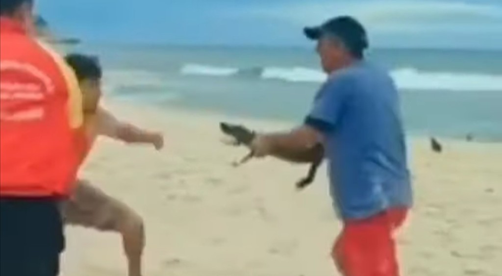 Jacaré vira arma em praia do Rio