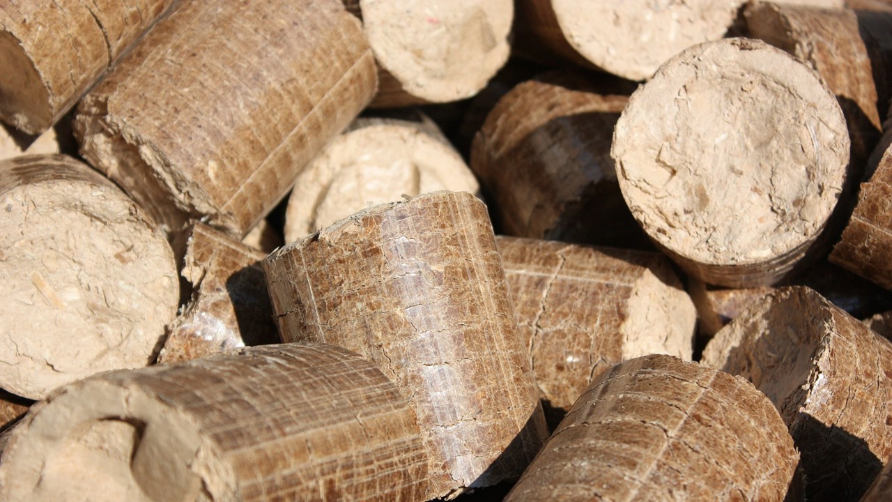 A Ethos Asset anuncia acordo com a Deinve Participações para construir fábrica de pellets de madeira no RS