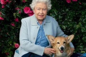 Rainha Elizabeth lança perfume para cães