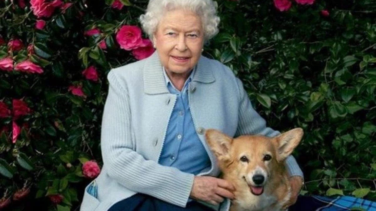 Rainha Elizabeth lança perfume para cães