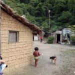 Indígena de 5 anos é estuprada em aldeia no litoral de SP