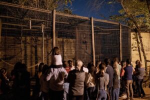 Prefeitura de Piracicaba oferece visita noturna gratuita no zoológico