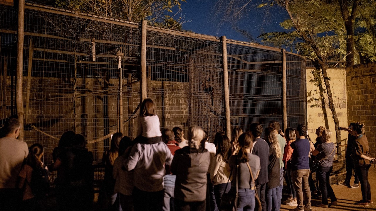 Prefeitura de Piracicaba oferece visita noturna gratuita no zoológico