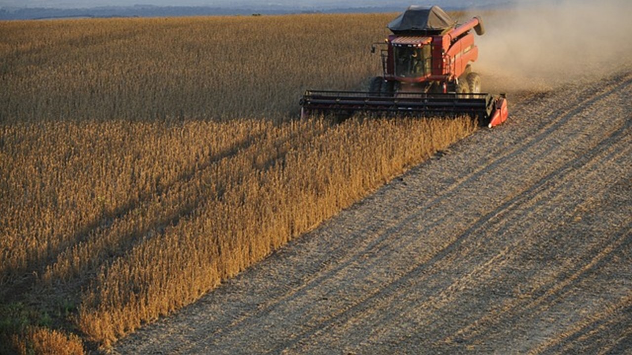 Plano Safra destina R$ 364,22 bilhões para apoiar produção agropecuária nacional