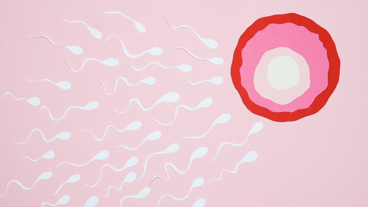 Tudo o que você precisa saber sobre infertilidade