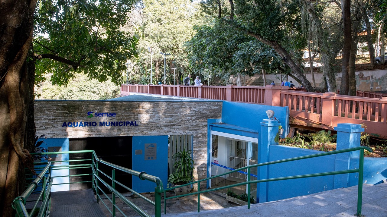 Aquário Municipal de Piracicaba reabre portas Aquário está situado no Parque do Mirante e tem entrada gratuita
