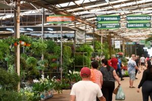 Como Proteger suas Plantas no Inverno Mercado das Flores da Ceasa Campinas é opção para quem gosta de plantas