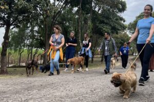 Domingo Animal em Piracicaba Evento visa a promoção da adoção responsável e a sensibilização para a castração de animais