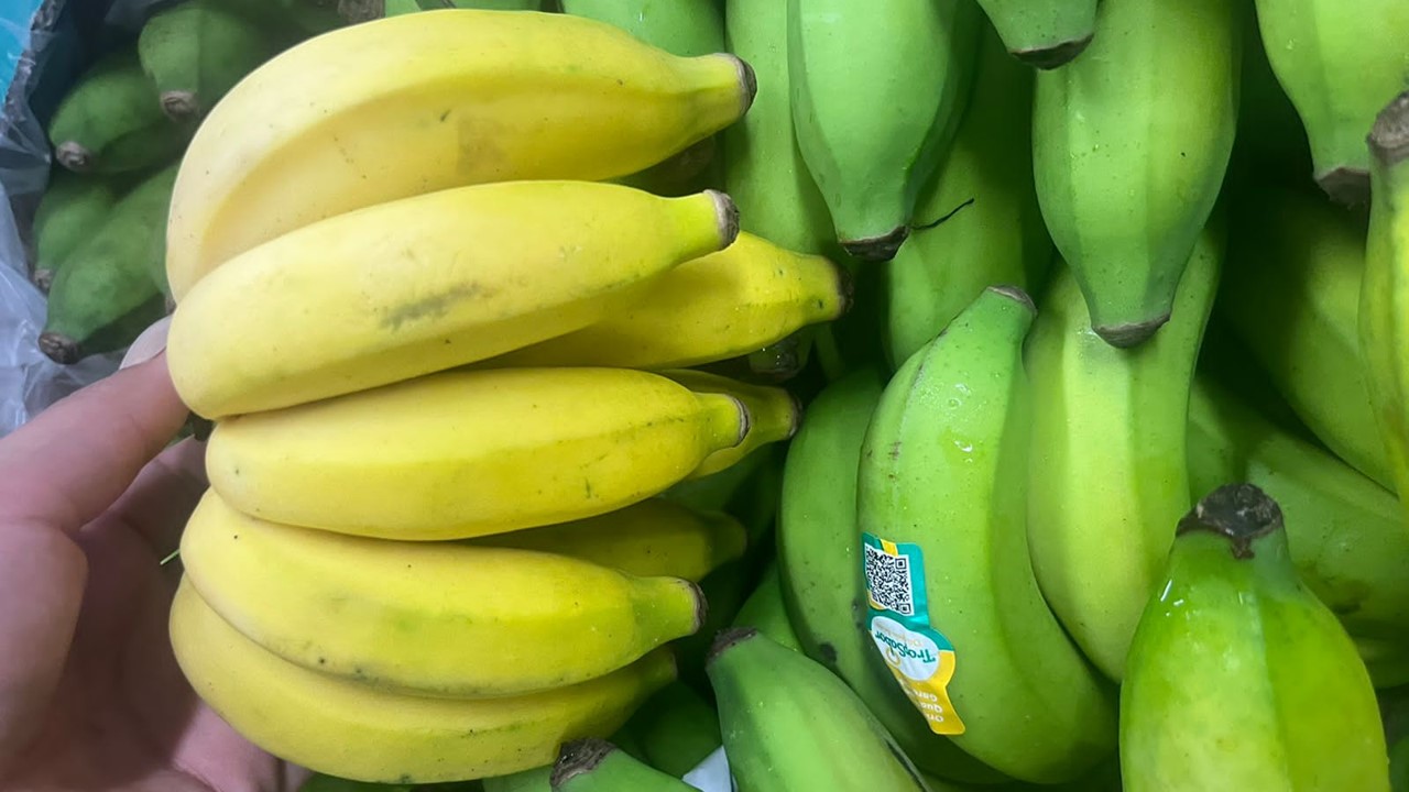 Banana-Princesa: a nova rainha do cultivo orgânico
