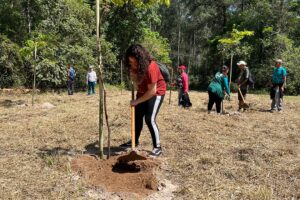 Dia da Árvore: Piracicaba em transformação com expansão da Floresta Urbana